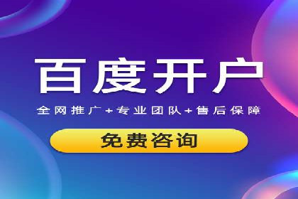 成功SEM推广代运营案例分享